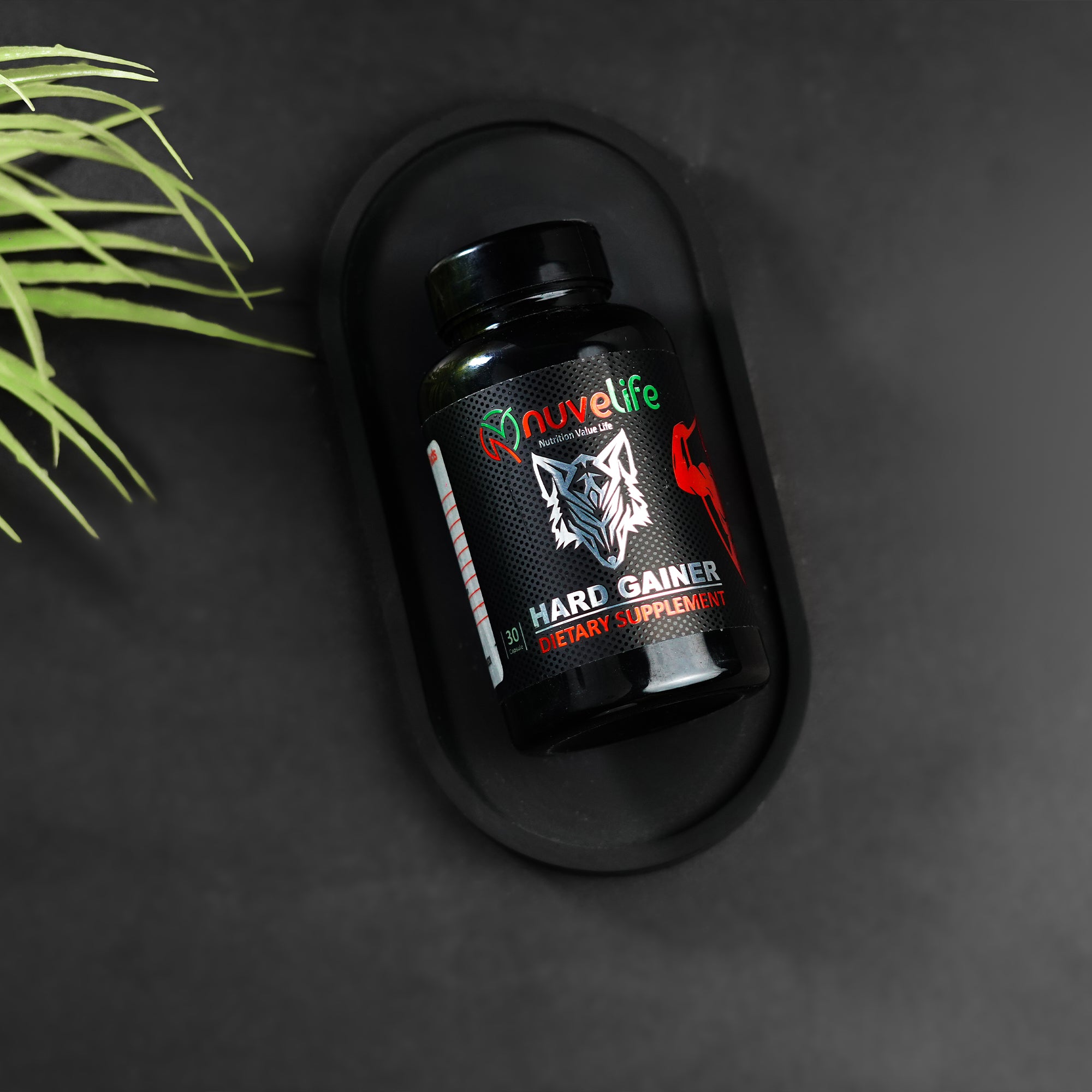 Hard Gainer for Men